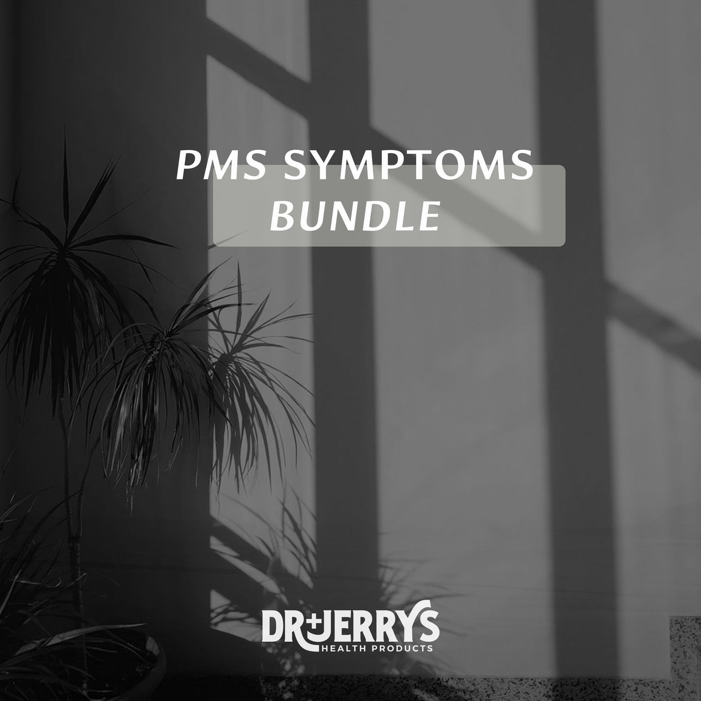 Dr. Jerry's PMS Symptoms Bundle (Chaste Berry, B-complex)